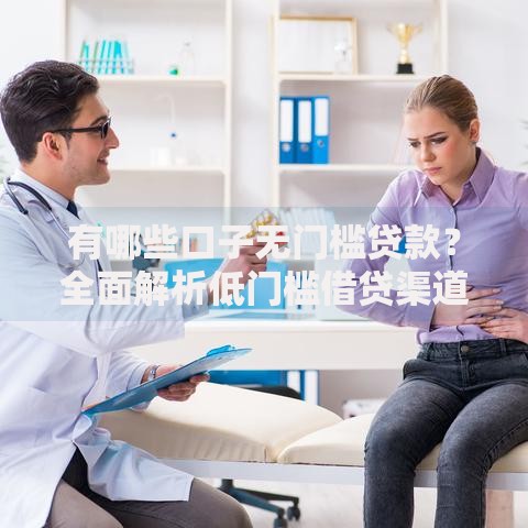 有哪些口子无门槛贷款？全面解析低门槛借贷渠道