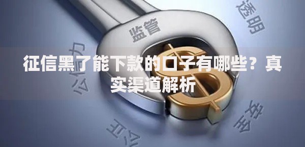 征信黑了能下款的口子有哪些？真实渠道解析