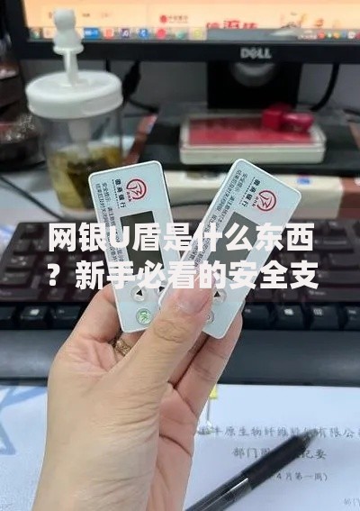 网银U盾是什么东西？新手必看的安全支付工具使用指南