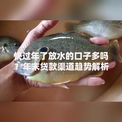 快过年了放水的口子多吗？年末贷款渠道趋势解析