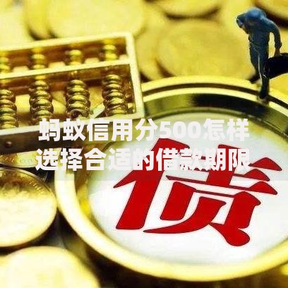蚂蚁信用分500怎样选择合适的借款期限？三大策略解析
