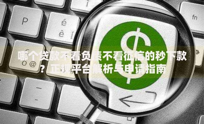 哪个贷款不看负债不看征信的秒下款？正规平台解析与申请指南