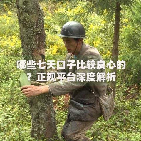 哪些七天口子比较良心的？正规平台深度解析