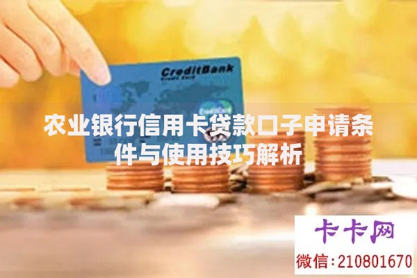 农业银行信用卡贷款口子申请条件与使用技巧解析