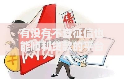 有没有不查征信也能顺利贷款的平台？解析真实借贷渠道