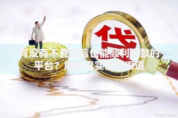 有没有不查征信也能顺利贷款的平台？解析真实借贷渠道
