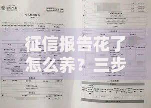征信报告花了怎么养？三步修复技巧助你贷款无忧