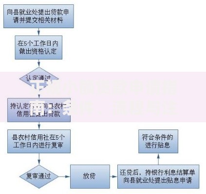 正规小额贷款申请指南：条件、流程与注意事项