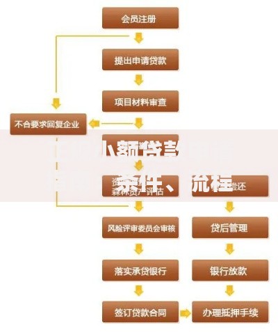 正规小额贷款申请指南：条件、流程与注意事项