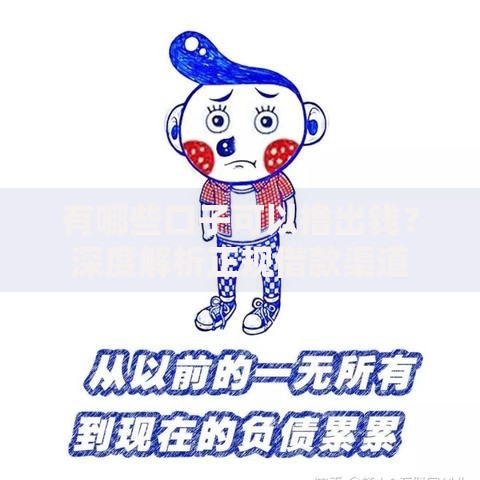 有哪些口子可以撸出钱？深度解析正规借款渠道