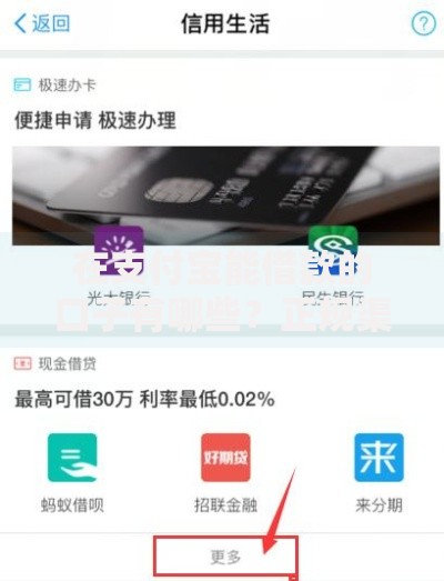 在支付宝能借款的口子有哪些？正规渠道深度解析
