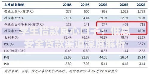 学生借款良心口子：低息安全贷款渠道深度解析