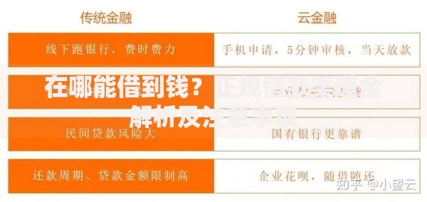 在哪能借到钱？正规借款渠道全解析及注意事项