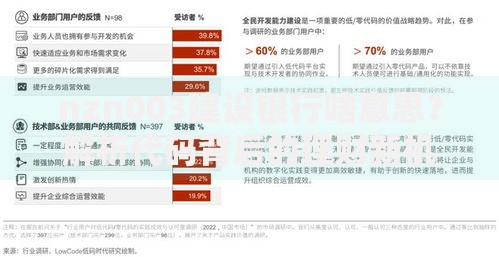 nzn003建设银行啥意思？解析代码背后的理财新机遇