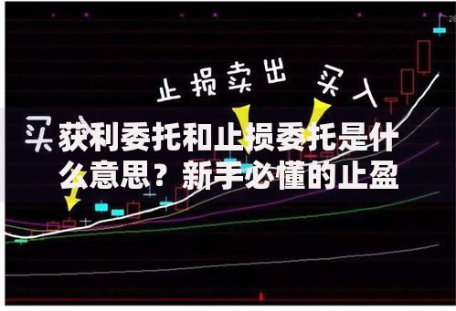 获利委托和止损委托是什么意思？新手必懂的止盈止损技巧