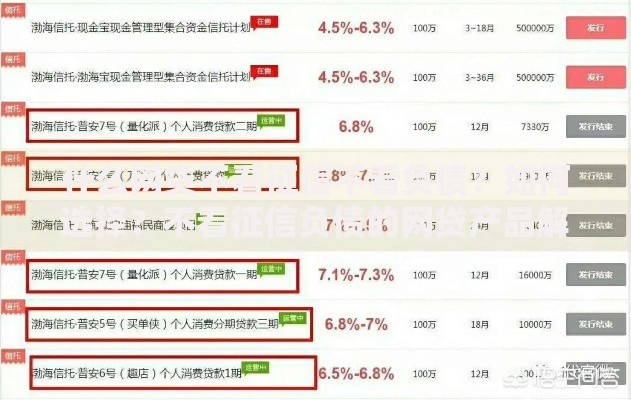 什么网贷不看征信不看负债？如何选择？不看征信负债的网贷产品解析