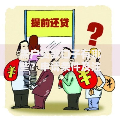 黑户贷款口子有哪些？申请条件及注意事项解析
