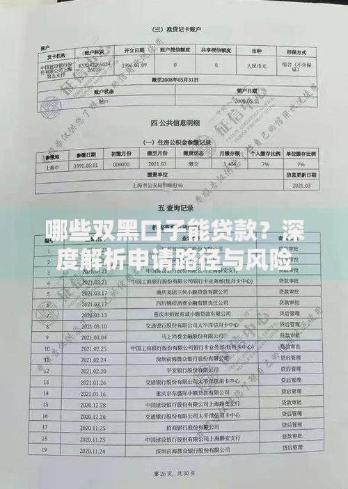 哪些双黑口子能贷款？深度解析申请路径与风险