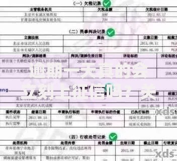逾期一天真的会立刻上征信吗？关键规则深度解析