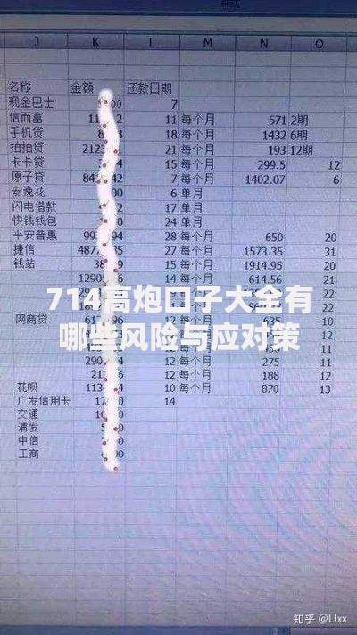 714高炮口子大全有哪些风险与应对策略？