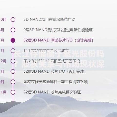 长江存储属于紫光股份吗？股权关系与市场现状深度解析