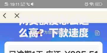 网贷额度怎么这么高？下款速度真的快吗？深度解析网贷平台优势与风险