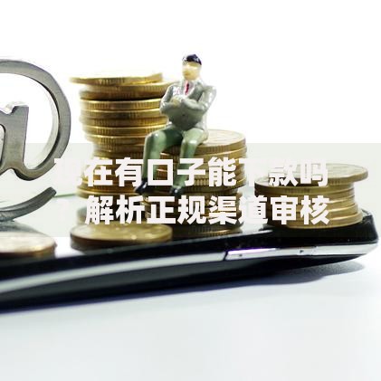 现在有口子能下款吗？解析正规渠道审核标准与操作要点