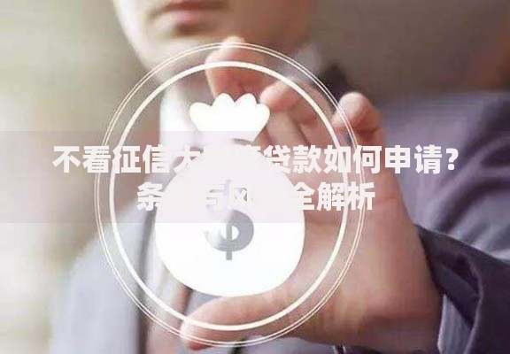 不看征信大额度贷款如何申请？条件与风险全解析