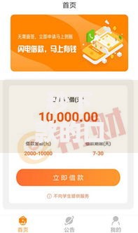 秒下款的口子不看征信：哪些平台审核宽松放款快？