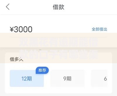 双黑花有逾期能借款的口子有哪些渠道？