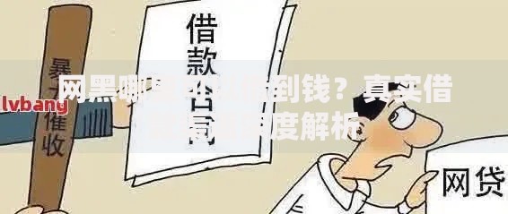 网黑哪里可以借到钱？真实借款渠道深度解析