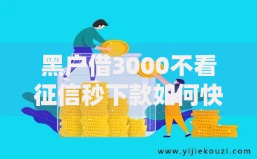 黑户借3000不看征信秒下款如何快速申请？