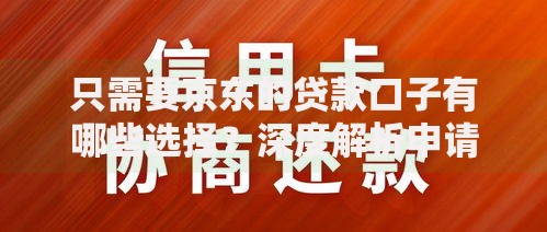 只需要京东的贷款口子有哪些选择？深度解析申请攻略