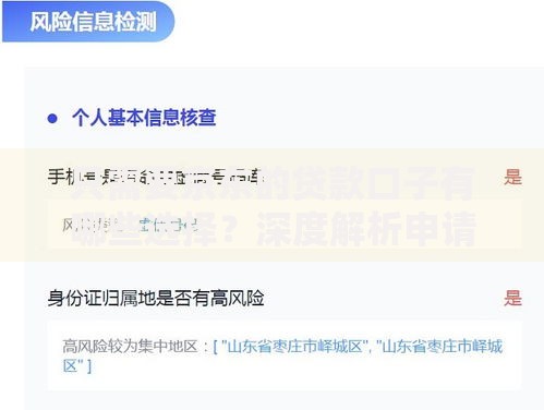 只需要京东的贷款口子有哪些选择？深度解析申请攻略