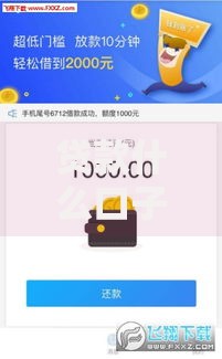 贷款什么口子额度高？深度解析高额度贷款渠道与技巧