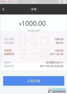 什么口子一定下款？解析高通过率贷款渠道与申请技巧
