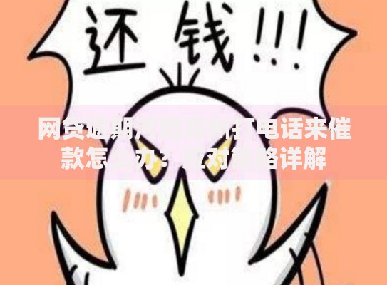 网贷逾期河南郑州打电话来催款怎么办？应对策略详解