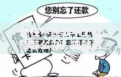 现在不还款不上征信怎么办？贷款逾期处理全解析
