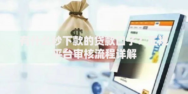 有什么秒下款的贷款口子？正规平台审核流程详解