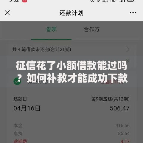 征信花了小额借款能过吗？如何补救才能成功下款