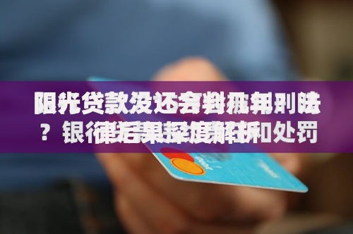 阳光贷款没还会判几年？法律后果深度解析