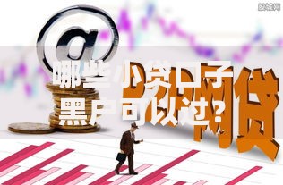 哪些小贷口子黑户可以过？低门槛平台申请攻略