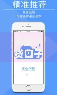 哪些小贷口子黑户可以过？低门槛平台申请攻略