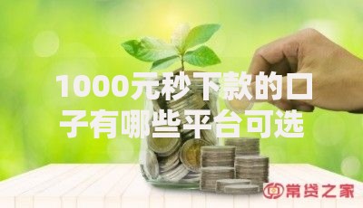 1000元秒下款的口子有哪些平台可选？低息低门槛解析