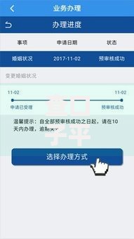 查口子平台能下款吗？真实下款流程与风险解析
