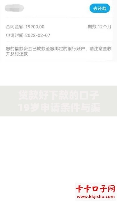 贷款好下款的口子19岁申请条件与渠道解析