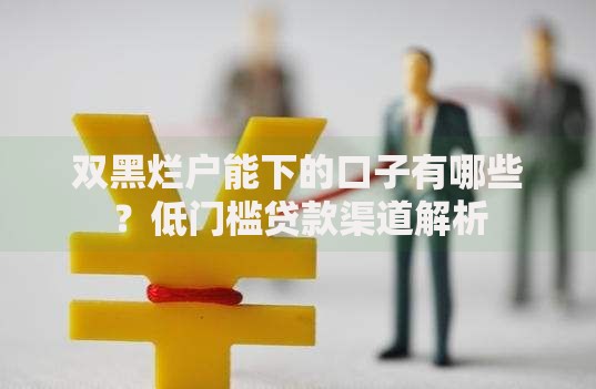双黑烂户能下的口子有哪些?低门槛贷款渠道解析 双黑烂户能下的口子有哪些?低门槛贷款渠道解析