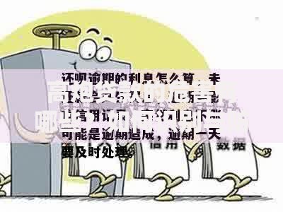 高炮贷款的危害有哪些？如何识别与防范风险