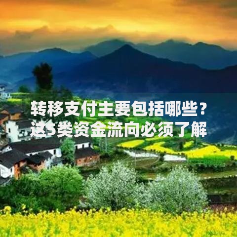 转移支付主要包括哪些？这5类资金流向必须了解