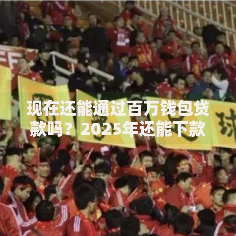 现在还能通过百万钱包贷款吗？2025年还能下款吗？政策与市场解析